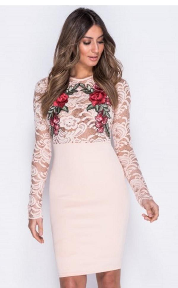 Celino Women's Lace Floral Printed O Neck Long Sleeve Light Pink Bodycon Dress - Celino Corp.