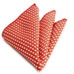 Red Small White Pocket Square for Men - Premium Silk Handkerchiefs for Suits
