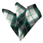 Green White Plaid Pocket Square for Men - Premium Silk Handkerchiefs for Suits - Celino Corp.
