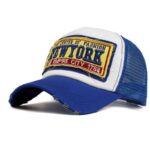 Blue Light Bird Stylish Baseball Hats for Men - Adjustable Relaxed Fit Cool Strapback Caps