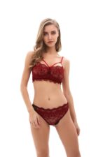 Strappy Womens Transparent Lace Bra and Panty Sets - 2 Piece Matching Lingerie Set for Women