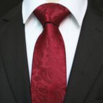 Celino Men's Neck Tie Premium European Made with Gift Box[Burgundy Paisley] - Celino Corp.