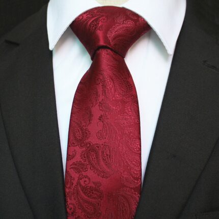 Celino Men's Neck Tie Premium European Made with Gift Box[Burgundy Paisley] - Celino Corp.