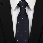 Celino Men's  Blue Paisley Silk Multi Color Neck tie neckties Premium Turkey Made - Celino Corp.