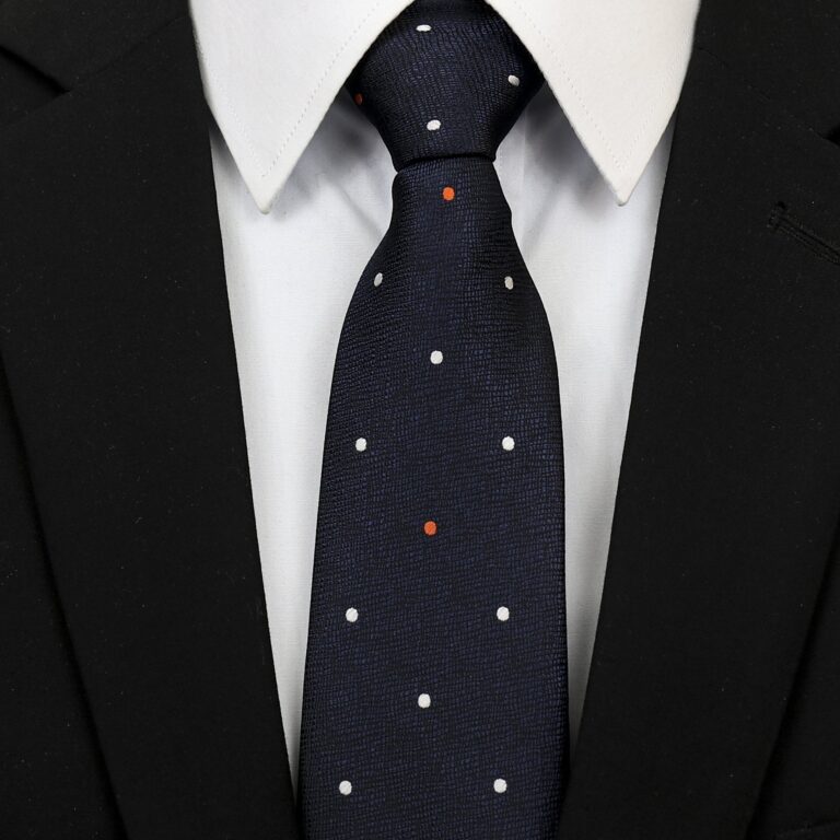 Celino Men's  Blue Paisley Silk Multi Color Neck tie neckties Premium Turkey Made - Celino Corp.