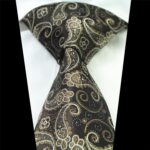 Celino Men's Neck Tie Premium European Made with Gift Box[Brown Gold Paisley] - Celino Corp.
