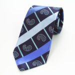 Celino Blue Paisley 100% Woven Silk Tie for Men Necktie Premium Turkey Made