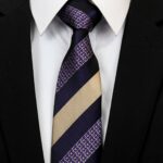 Celino Men's Neck Tie Premium European Made with Gift Box[Purple Champaign Lines]