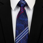 Celino Men's Neck Tie Premium European Made with Gift Box[Navy Blue Paisley]