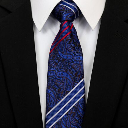 Celino Men's Neck Tie Premium European Made with Gift Box[Navy Blue Paisley]