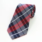 Celino Red Blue Check 100% Woven Silk Men's Tie Necktie Premium Turkey Made - Celino Corp.