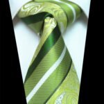 Celino Men's Green Paisley Silk Multi Color Neck tie neckties Premium Turkey Made